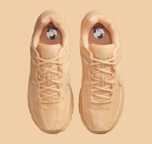 Giay Nike Air Zoom Vomero 5 'Celestial Gold' HF5493-200