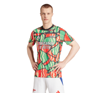 Ao Adidas Arsenal Pre-Match Jersey 'Multicolor' IS9996