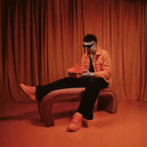 Giay Puma LaMelo Ball LaFrance Amour 'Gifted' 310867-01