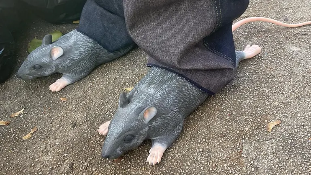 Top những đôi giày "xấu xí" đến mức gây ám ảnh! Hinh anh 19: Top nhung doi giay "xau xi" den muc gay am anh!