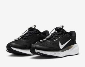 Giay Nike Air Zoom Pegasus 41 EasyOn 'Black' FQ7844-002