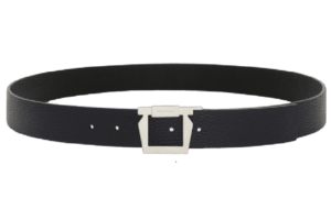 That Lung Salvatore Ferragamo Gancini Belt 'Blue' 670361-776791