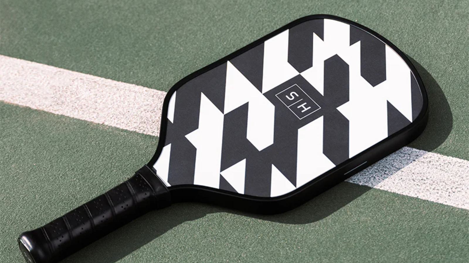 Hinh anh 4: Chon vot pickleball phu hop voi trinh do co thuc su quan trong?