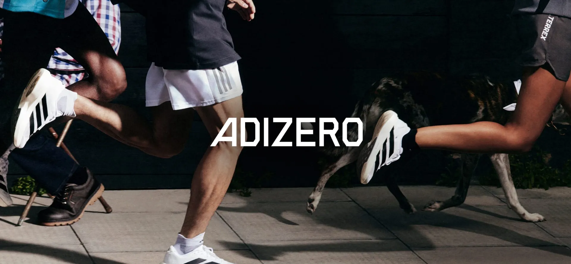 Review chi tiet Adidas Adizero Evo SL