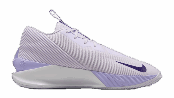 Giay Nike G.T. Jump Academy 'Hydrangeas' FV5524-500