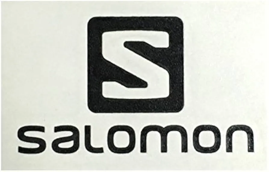 Hinh anh 8: Cau chuyen lich su ve logo Salomon