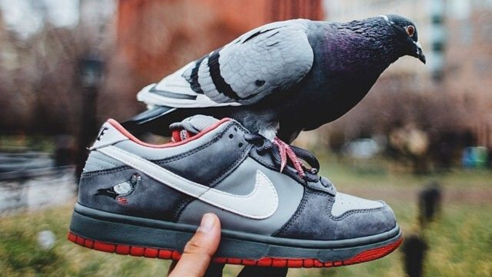 Hinh anh 1: Hinh anh 5 doi Nike SB Dunk dat gia nhat, bao gom Paris, Freddy Krueger, Yellow Lobster, Staple NYC Pigeon, va What The Dunk.