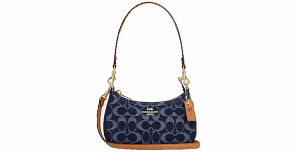 Túi Coach Teri Mini Crossbody Bag 'Denim' CY735-IMXIA