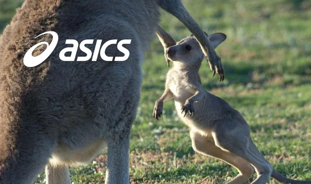ASICS bắt đầu tham gia phong trào không sử dụng da Kangaroo Hinh anh 4: ASICS bat dau tham gia phong trao khong su dung da Kangaroo