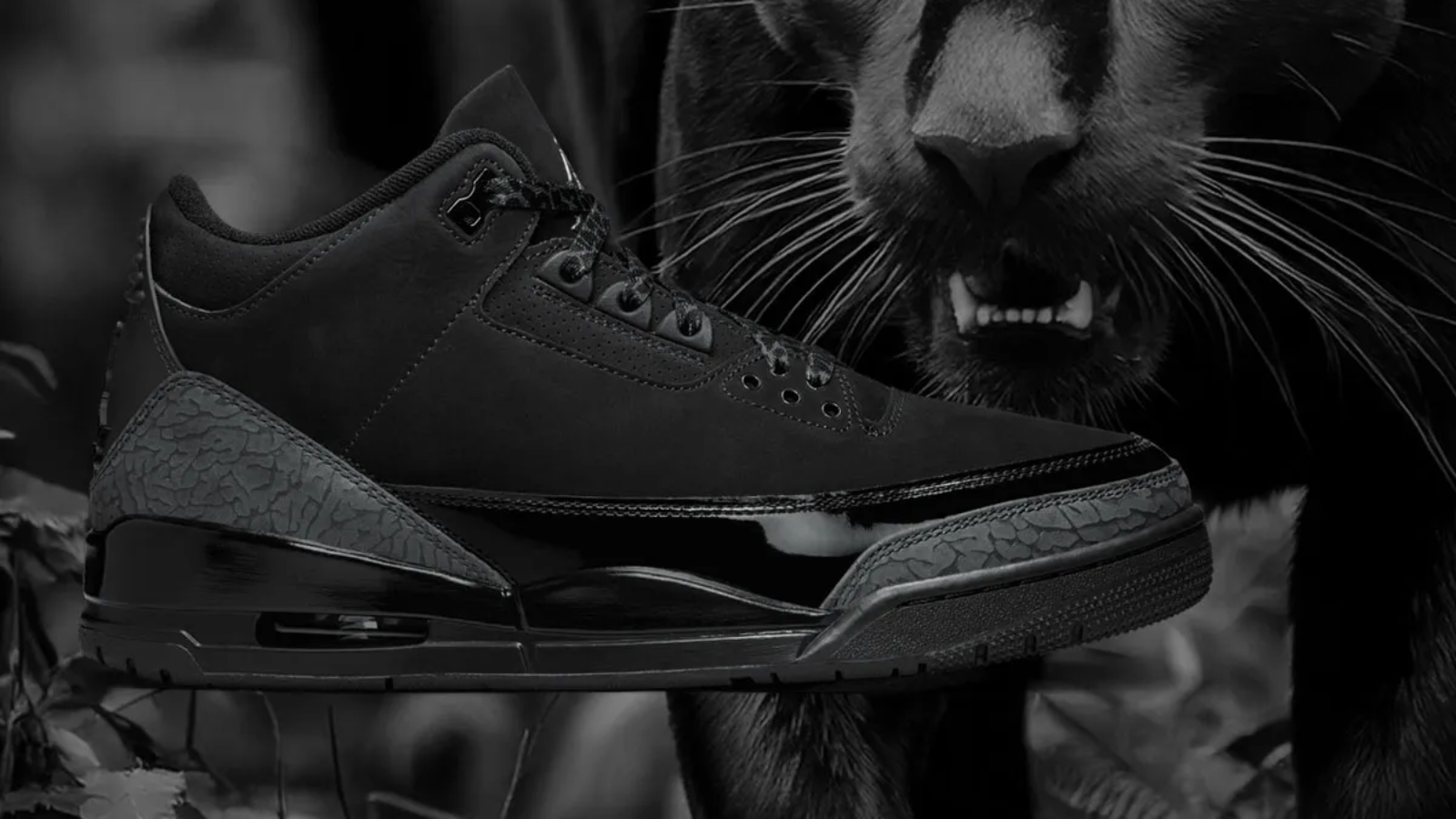 Hinh anh 4: Kham pha toan bo lich su cua Air Jordan ‘Black Cat’