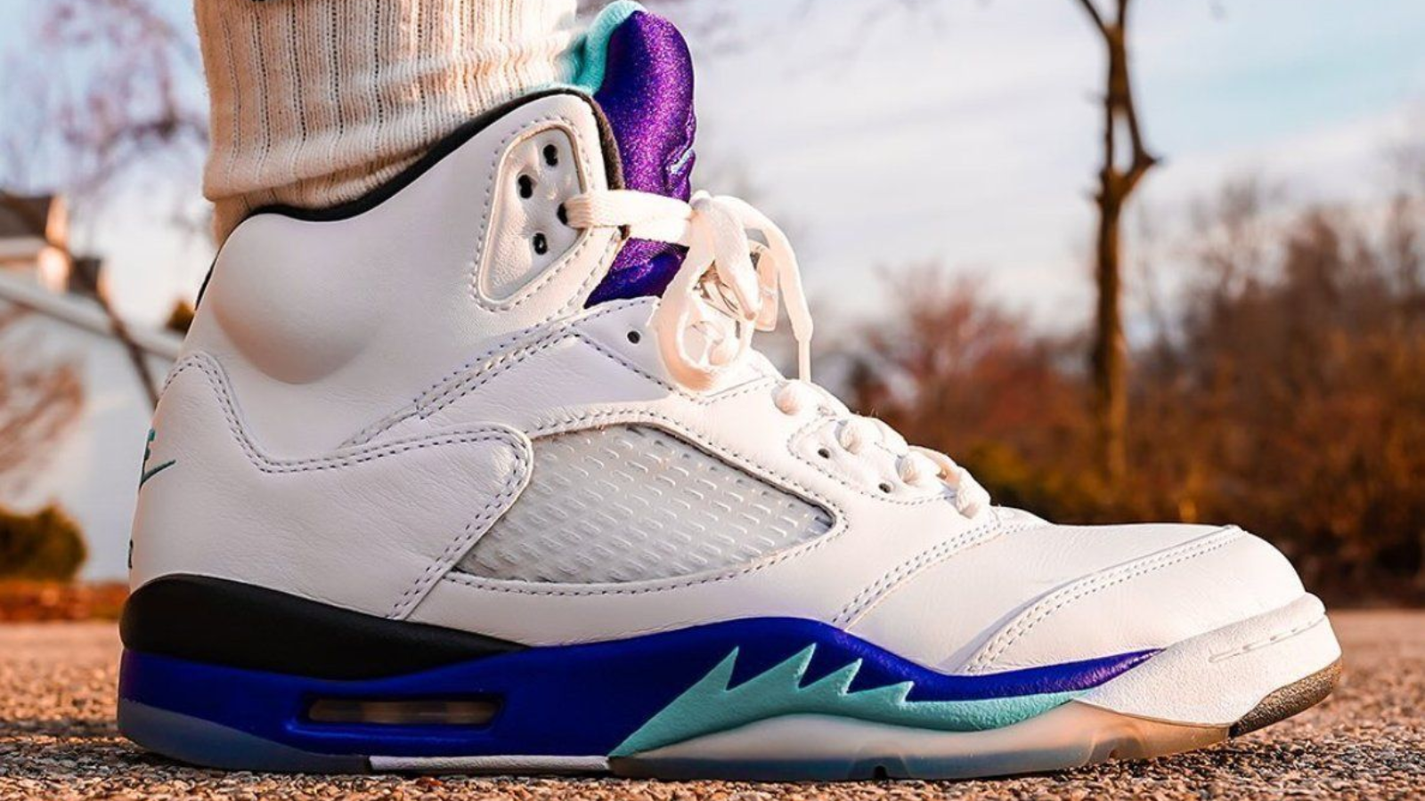 air jordan 5 grape 1990