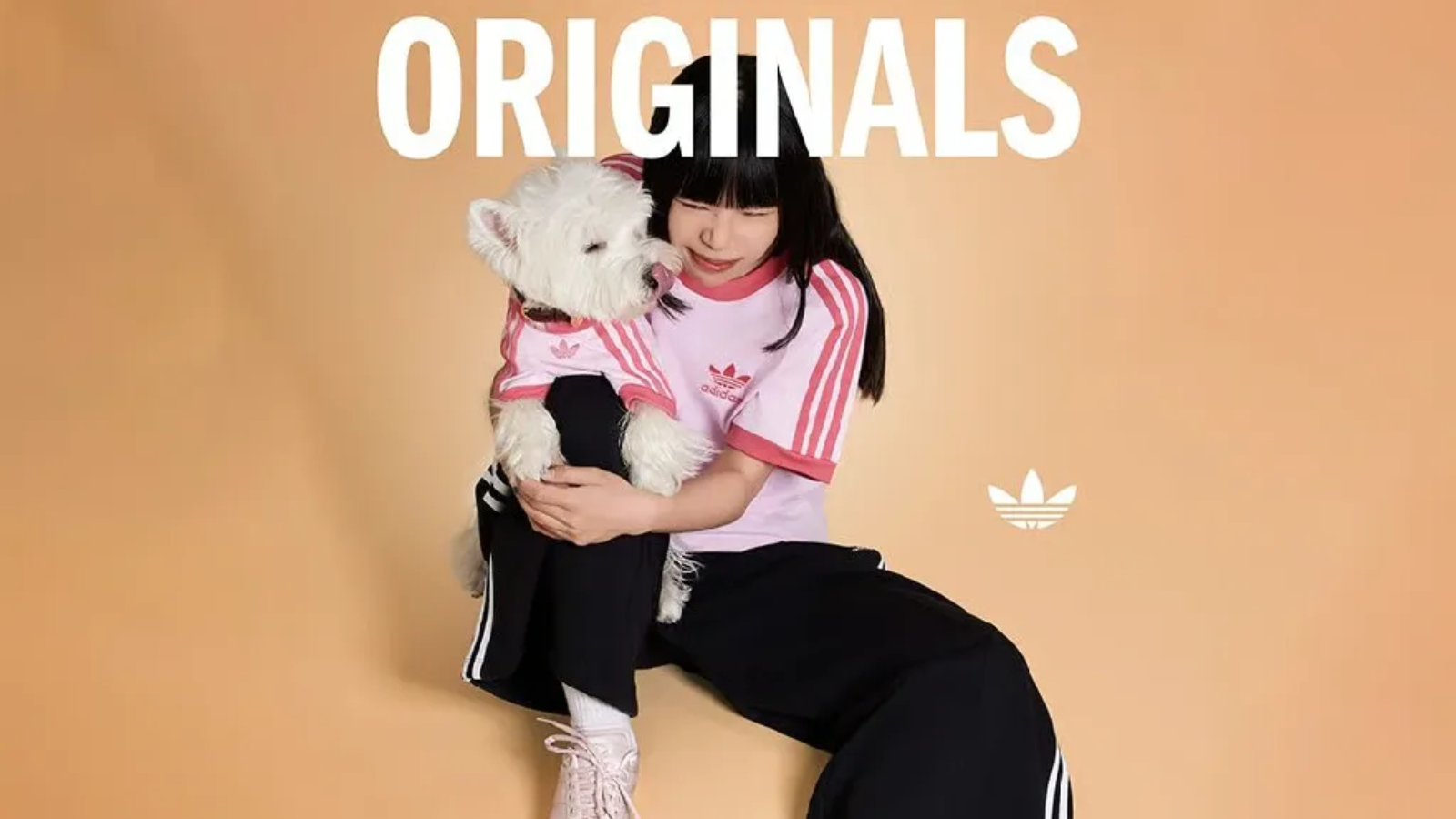 Hinh anh 6: Hinh anh bo suu tap adidas Originals Pet Collection 2025 cho thu cung