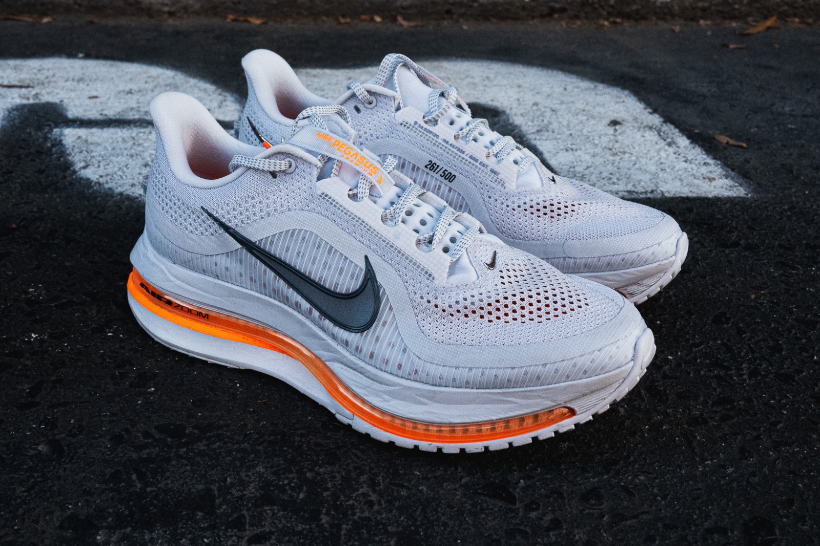 Chi tiết Nike Pegasus Premium