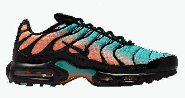 Giày Nike Air Max Plus 'South Beach' DM0032-022