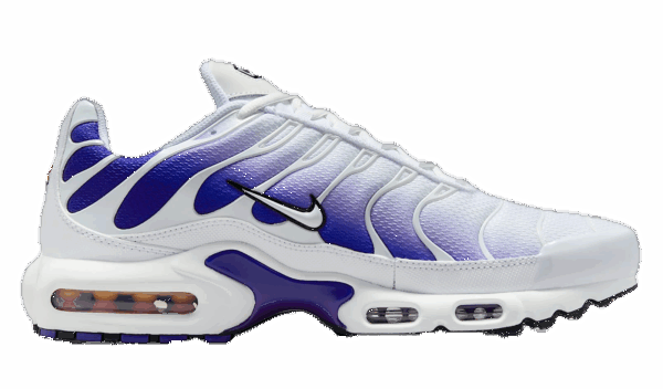 Giày Nike Air Max Plus 'White Wild Grape' DM0032-105
