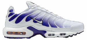 Giày Nike Air Max Plus 'White Wild Grape' DM0032-105