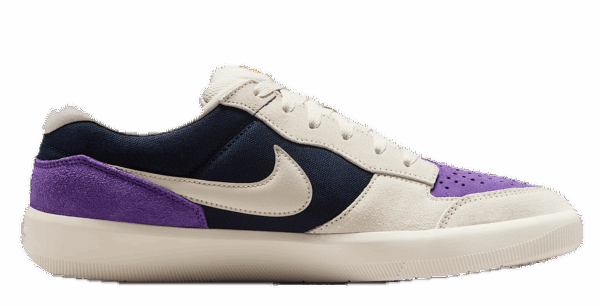 Giày Nike SB Force 58 'Phantom' DV5477-403