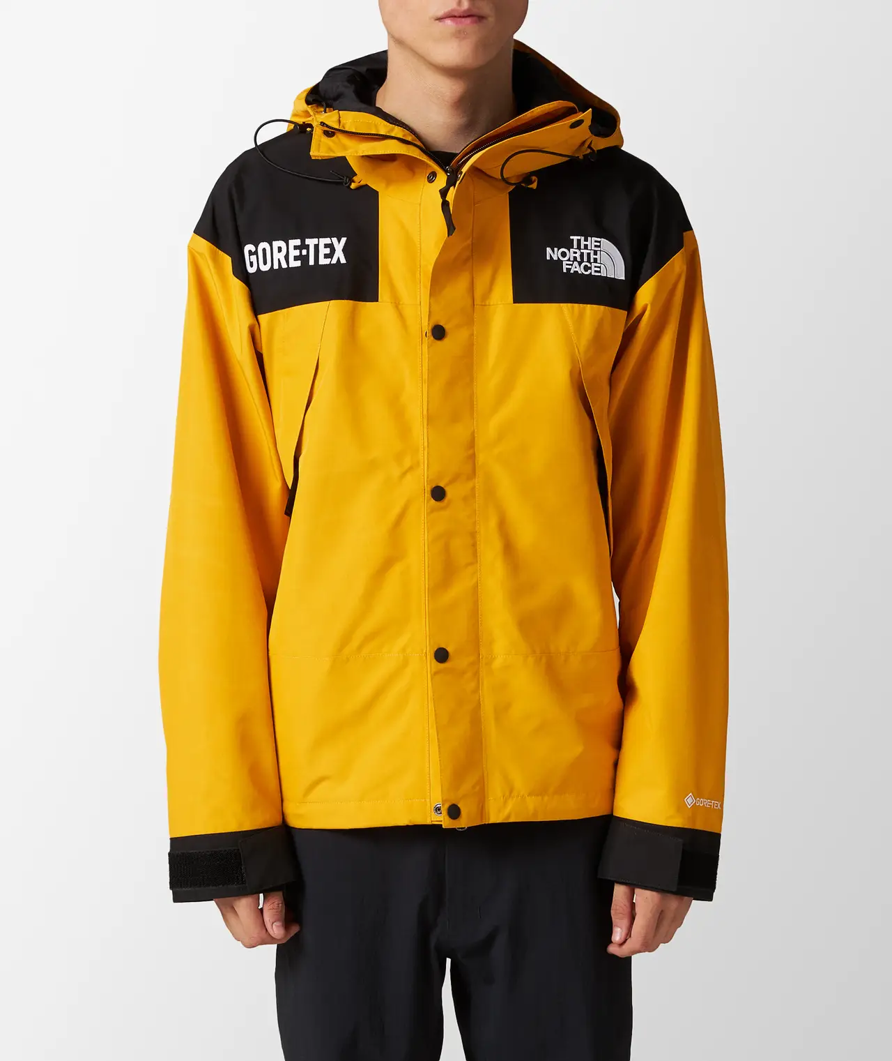 Alternative view of Áo The North Face GTX 'Summit Gold' NF0A831M-ZU3