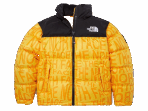 Áo The North Face Korea 'Yellow' NJ1DN51N