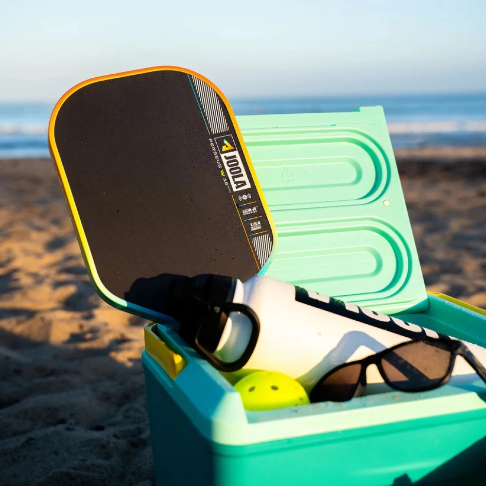 Hinh anh 2: Hinh anh so sanh vot pickleball Joola 3S Dual va Pro IV nam 2025