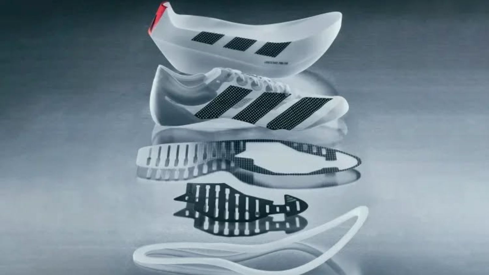 Hinh anh 1: Adidas Adizero Prime X Evo, giay chay bo cong nghe cao, mau trang den