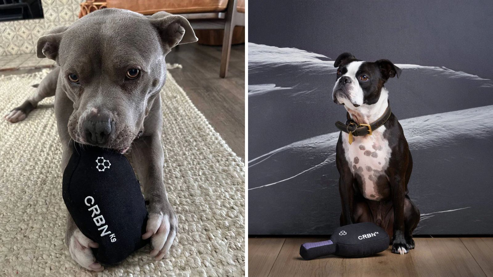 Hinh anh 8: Bo suu tap qua tang pickleball 2026: Vot, bong, luoi, tui va phu kien