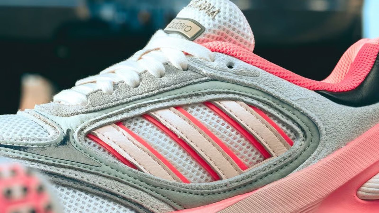 Hinh anh 5: Doi giay adidas Goukana 'Roadkill' hop tac voi Sneaker Politics