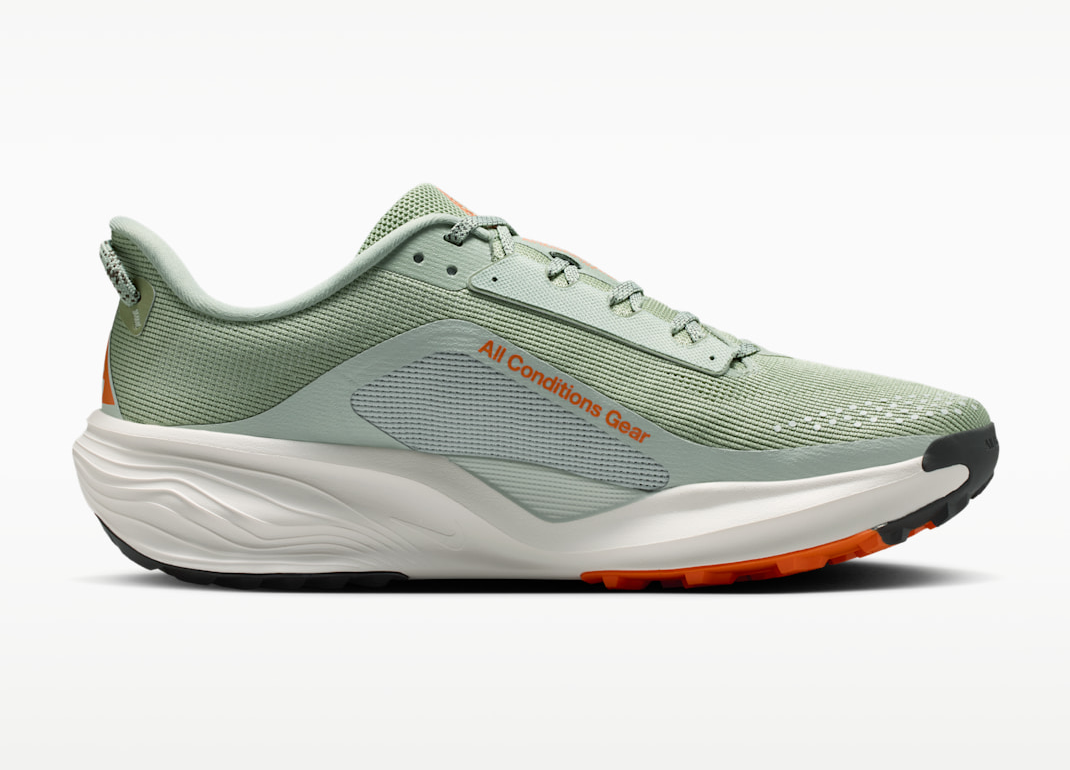 Alternative view of Giày Nike ACG Pegasus Trail 'Horizon Light Silver' HV8116-310