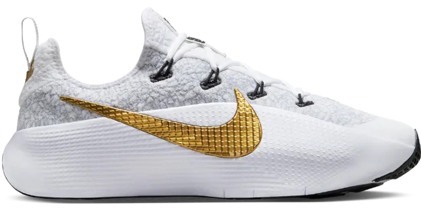 Giày Nike LeBron TR 1 'Wolf Grey' FJ6151-006