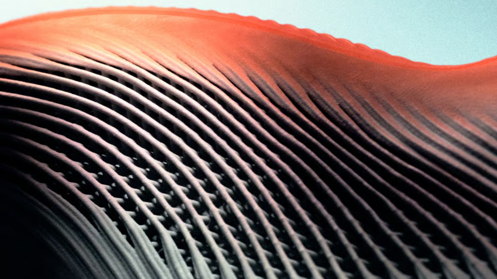 Hinh anh 4: Giay bong ro in 3D adidas Project R.A.P. tren san NCAA