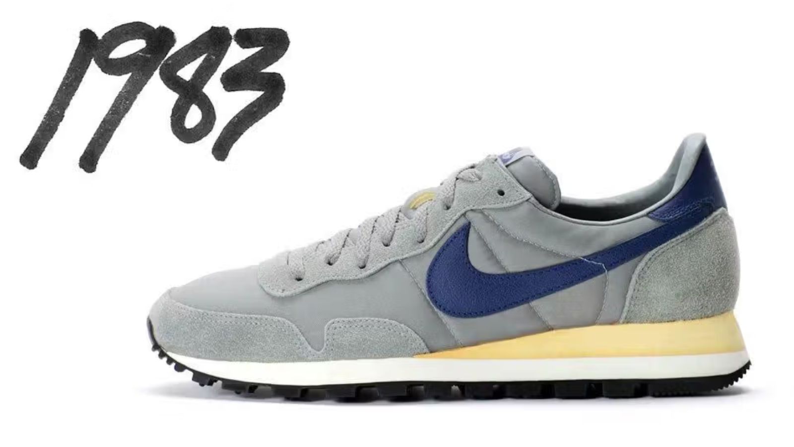 Hinh anh 2: Hinh anh Nike Pegasus 42 va ACG Pegasus Trail