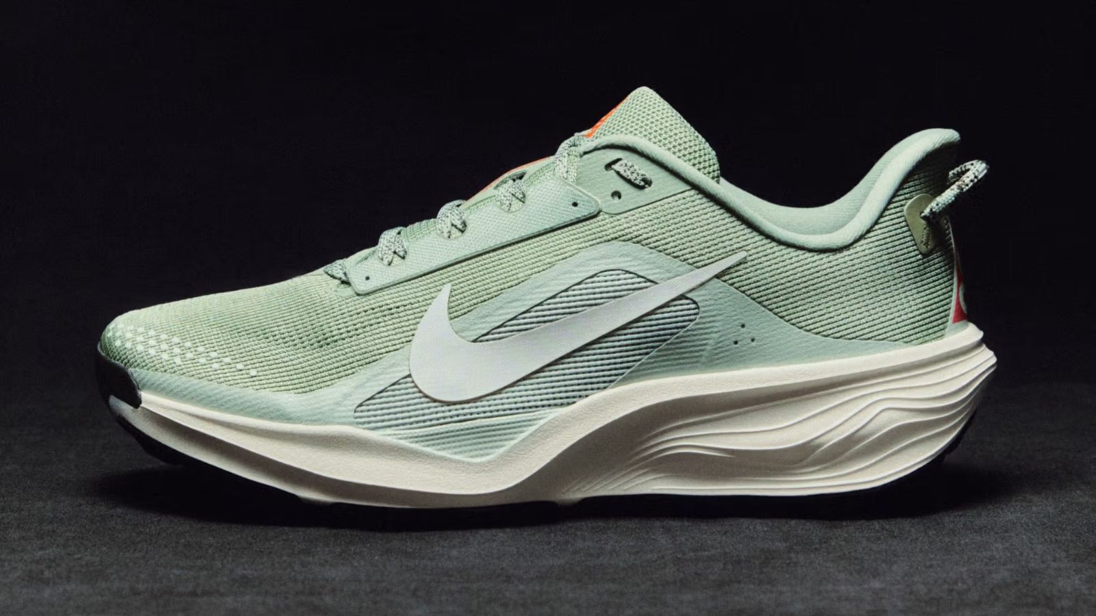 Hinh anh 5: Hinh anh Nike Pegasus 42 va ACG Pegasus Trail