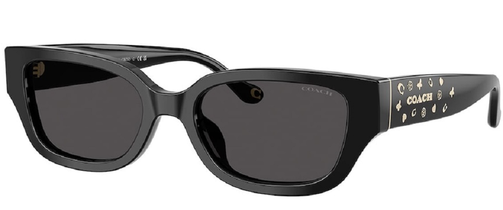 Kính Coach Sunglasses 'Black' 0HC8439U-500287
