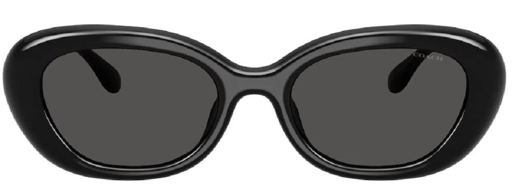 Kính Coach Sunglasses 'Black' 0HC8448U-500287