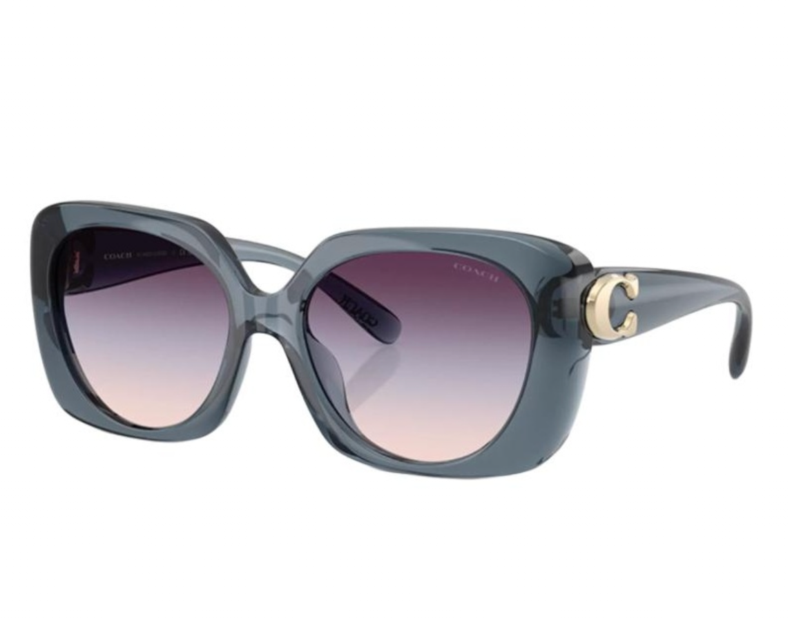 Alternative view of Kính Coach Sunglasses 'Grey' 0HC8422U-5871U7